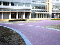 筑波大学